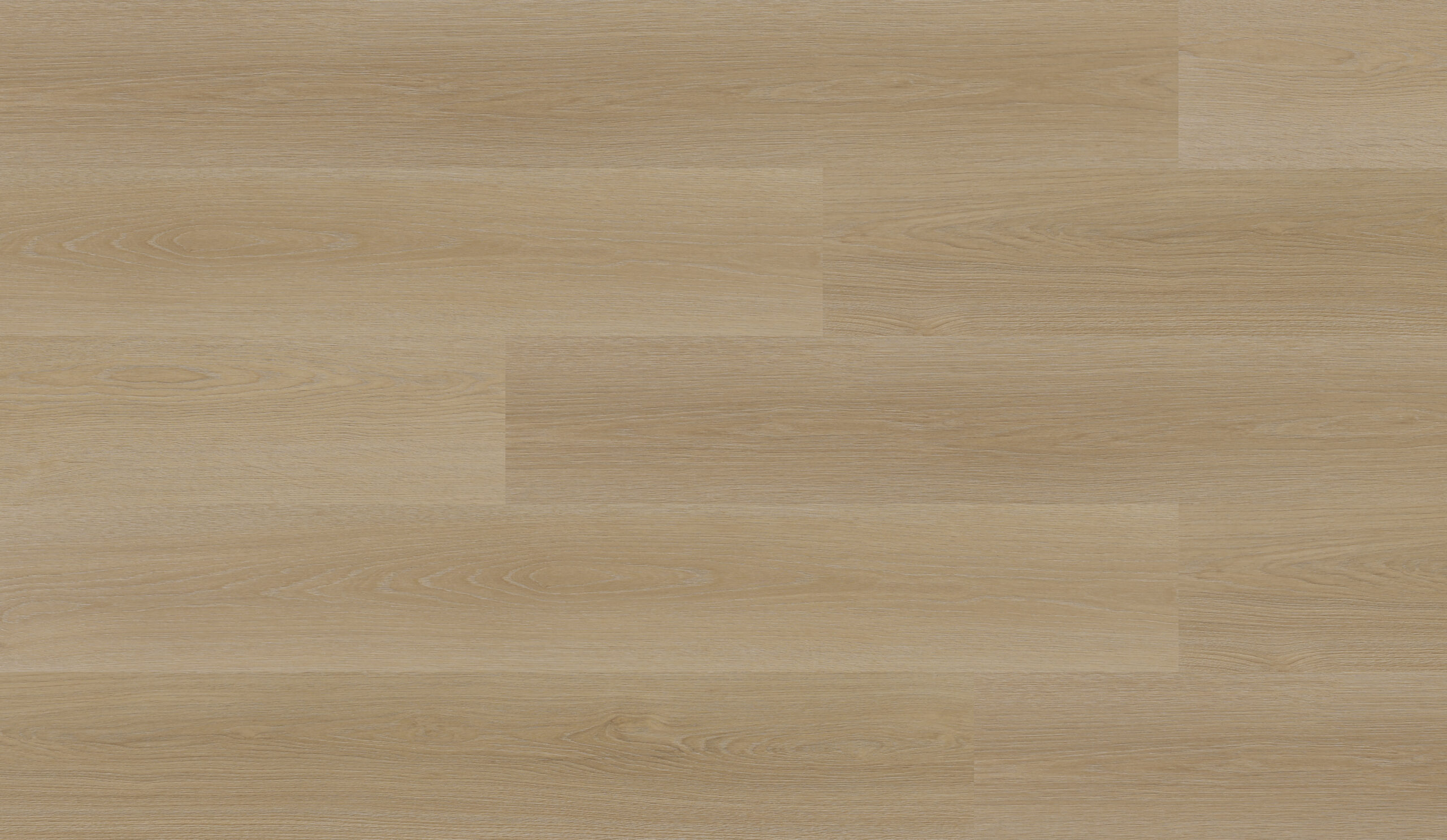 amber1-scaled-1.jpg Amber - Image 1