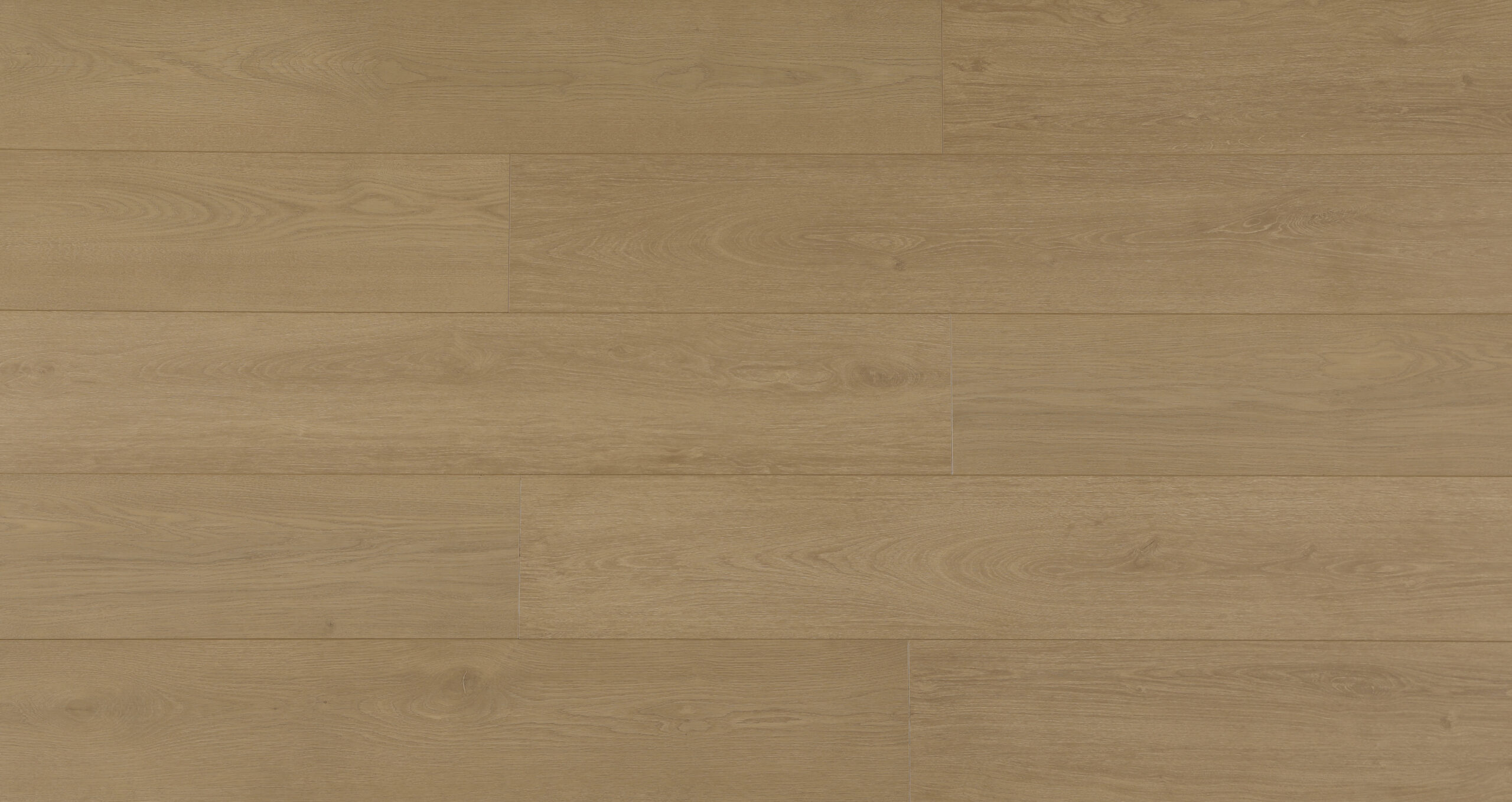 sandyoak-scaled-1.jpg Sandy Oak - Image 1