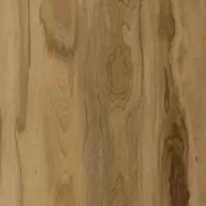 Paradiso Plus – Barbados – PD 205